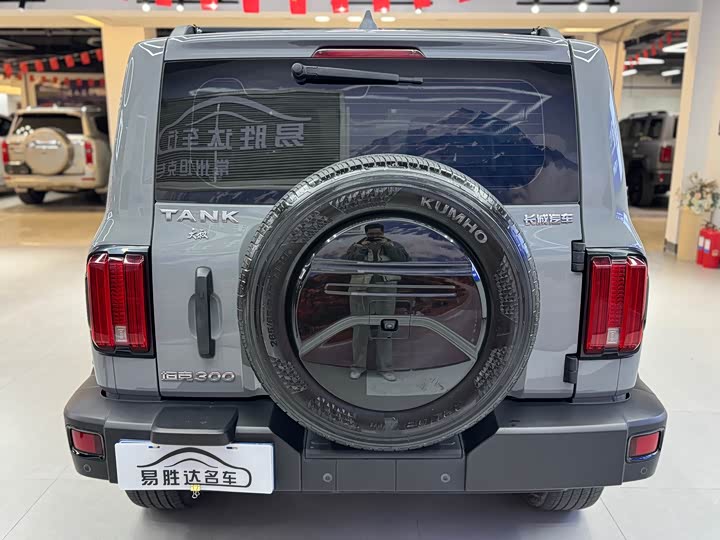 Фото 5 - Tank 300