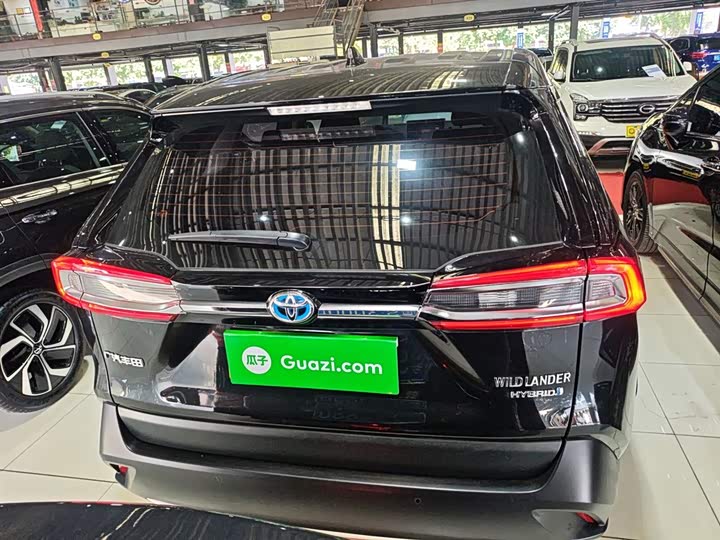 Фото 6 - Toyota Wildlander