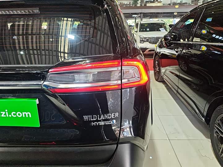 Фото 8 - Toyota Wildlander