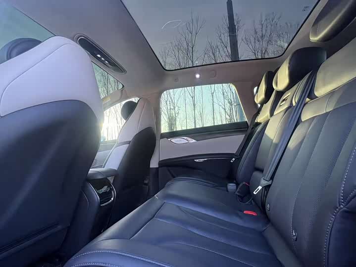 Фото 9 - IM motors LS7