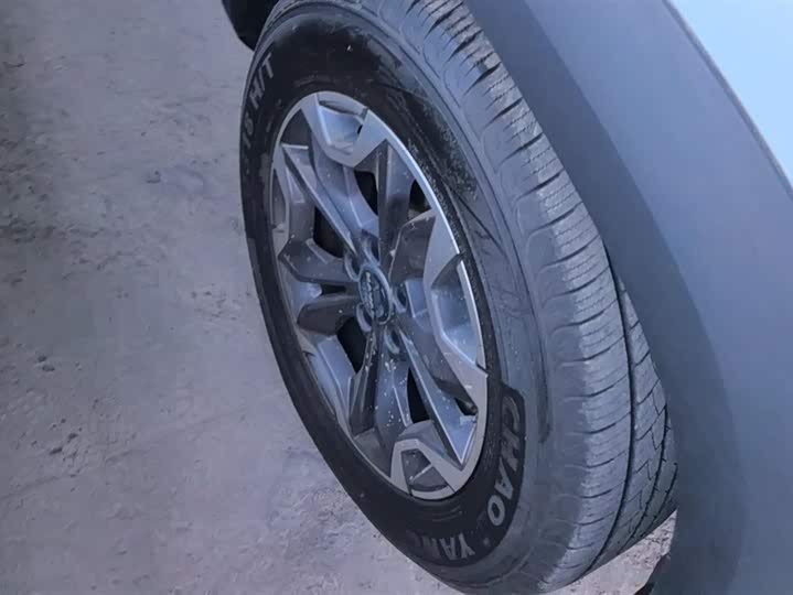 Фото 6 - Haval Dargo