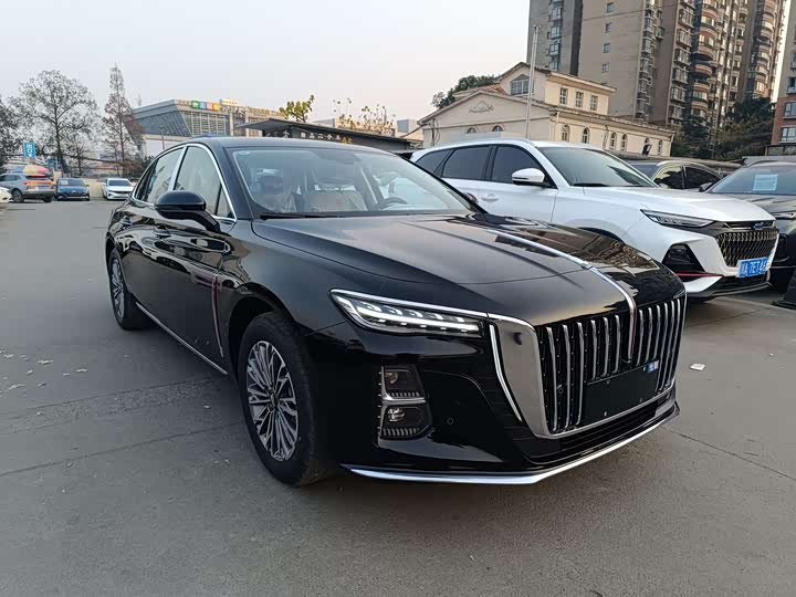 Фото 3 - Hongqi H5