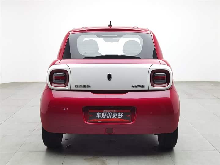 Фото 4 - Ora Black Cat