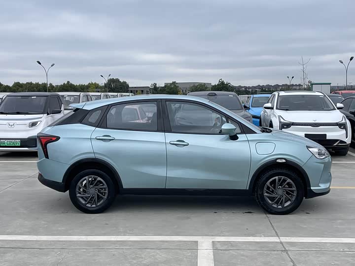 Фото 4 - Hozon V