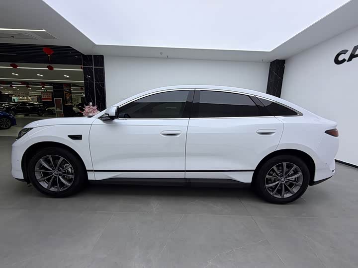 Фото 5 - BYD Qin L