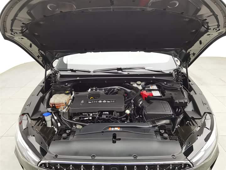 Фото 6 - Lincoln Z (Zephyr)