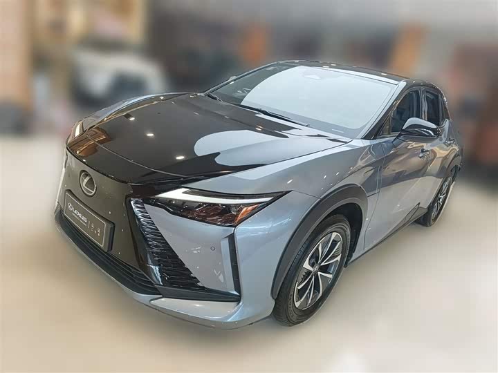 Фото 3 - Lexus RZ