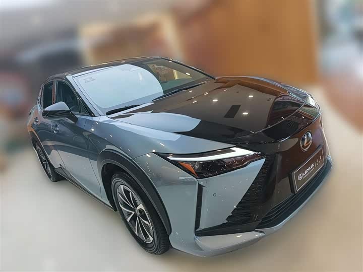 Фото 7 - Lexus RZ