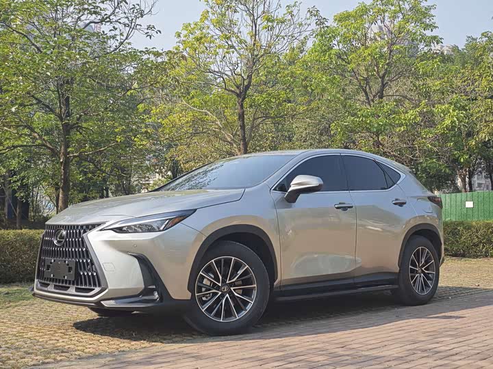 Фото 1 - Lexus NX