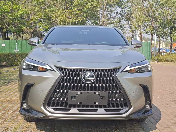 Фото 2 - Lexus NX