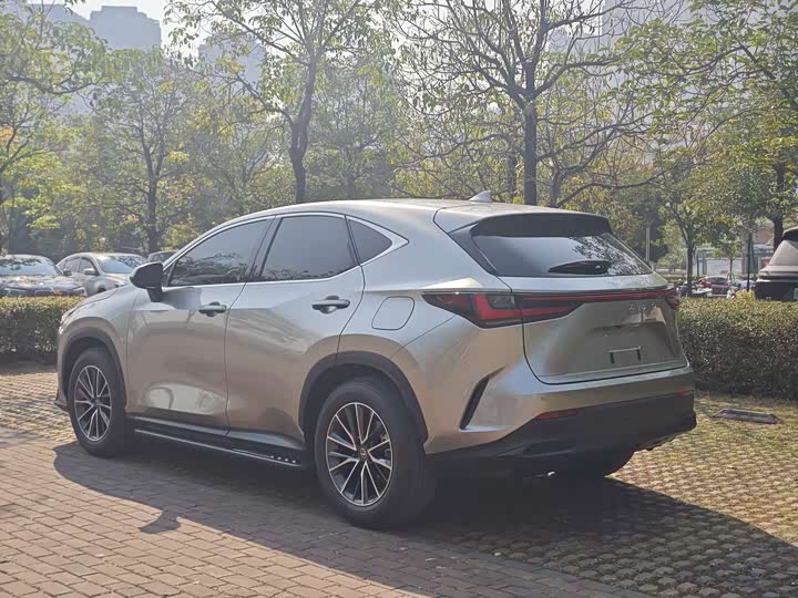 Фото 6 - Lexus NX