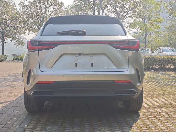 Фото 7 - Lexus NX