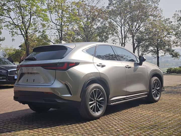Фото 8 - Lexus NX