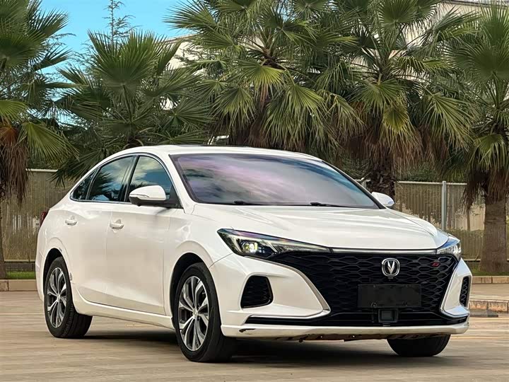 Фото 3 - Changan Eado Plus