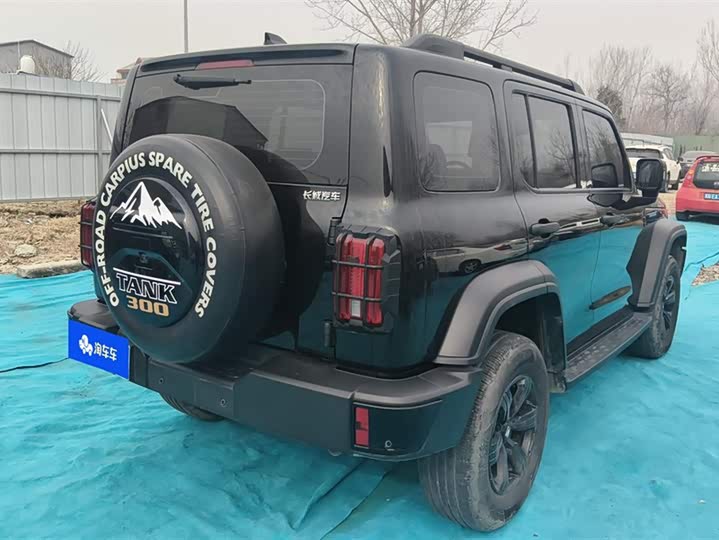 Фото 3 - Tank 300