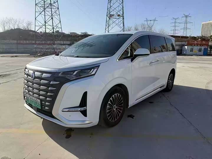 Фото 2 - Denza D9