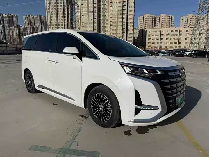 Фото 3 - Denza D9