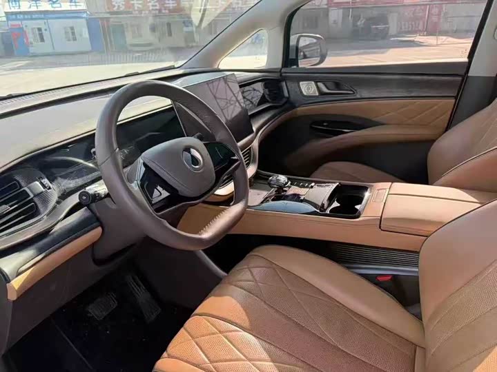 Фото 4 - Denza D9