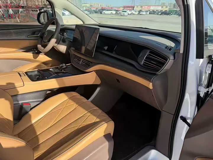 Фото 6 - Denza D9