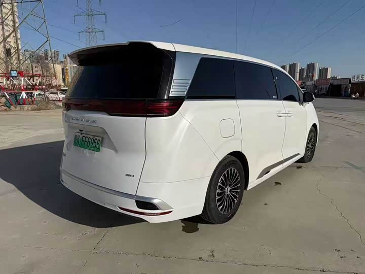 Фото 8 - Denza D9