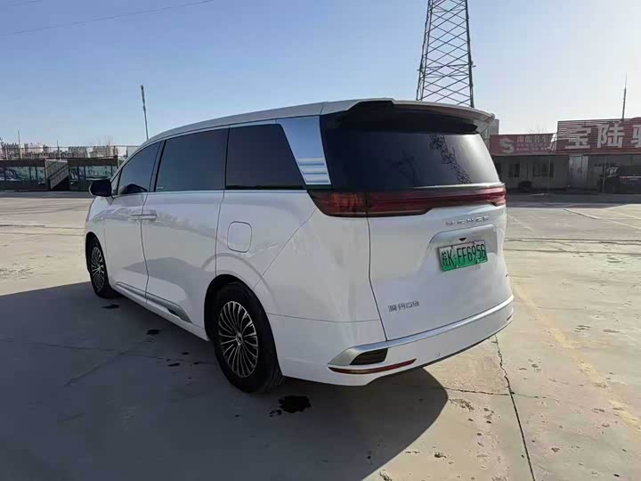 Фото 9 - Denza D9