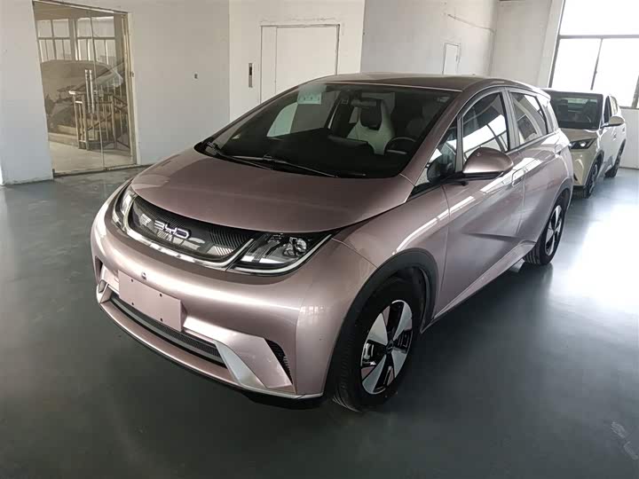 Фото 2 - BYD Dolphin