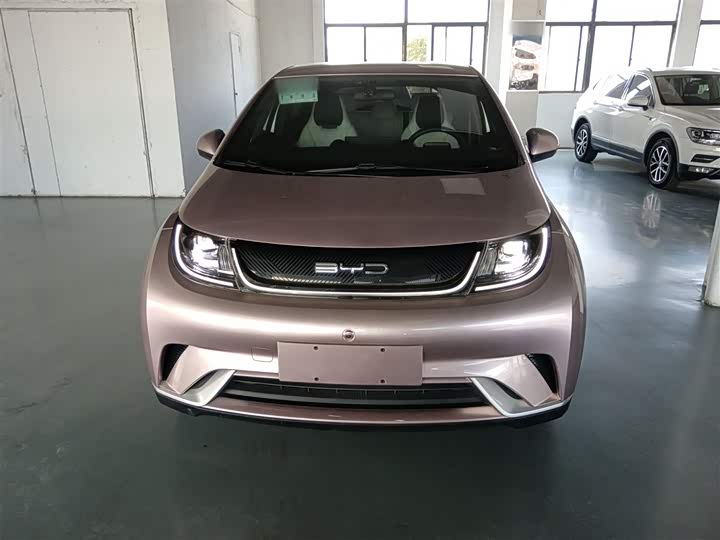 Фото 3 - BYD Dolphin