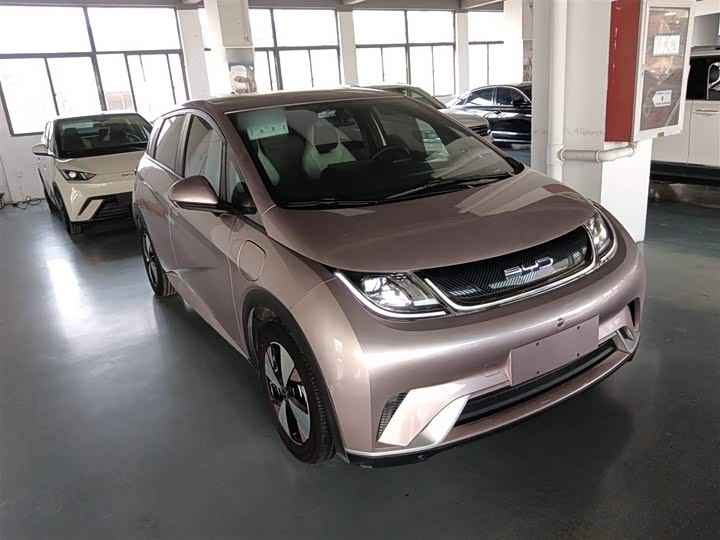 Фото 4 - BYD Dolphin