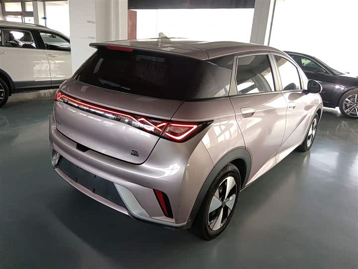 Фото 7 - BYD Dolphin