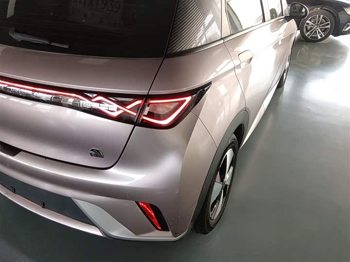 Фото 8 - BYD Dolphin