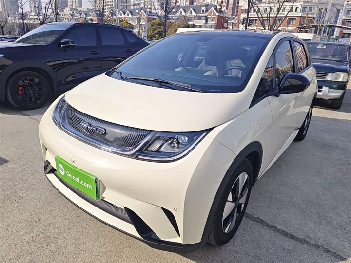 Фото 2 - BYD Dolphin