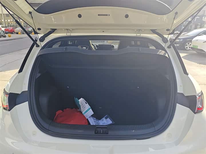 Фото 9 - BYD Dolphin