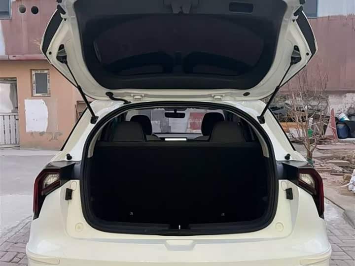 Фото 9 - Geely Geometry E Firefly