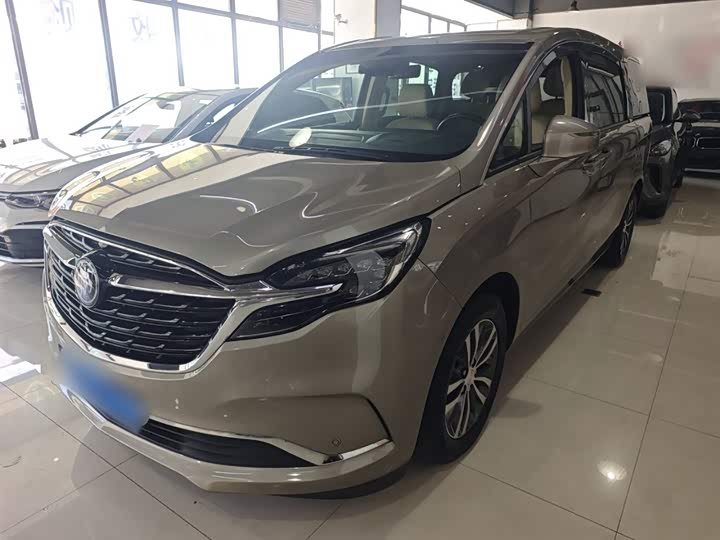 Фото 1 - Buick GL8 ES