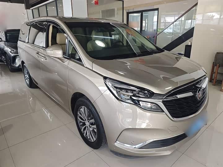 Фото 4 - Buick GL8 ES