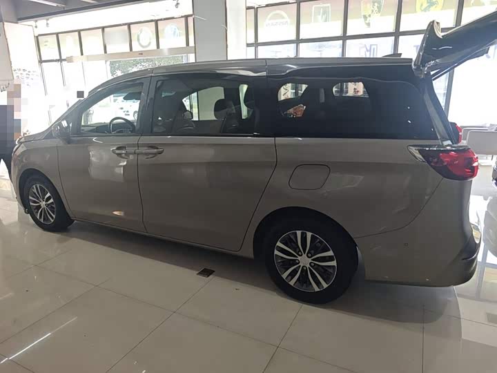 Фото 5 - Buick GL8 ES