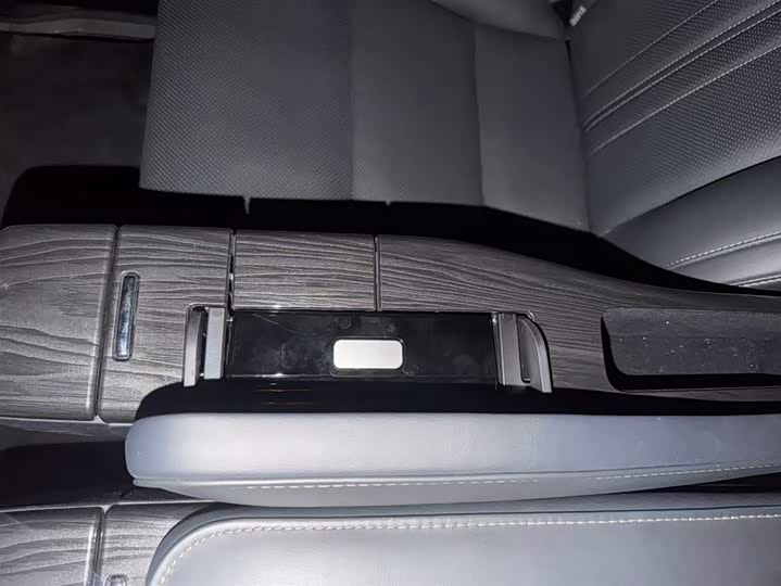 Фото 5 - Lexus LM