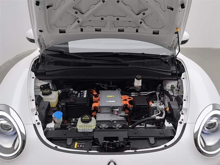 Фото 6 - Ora Good Cat (03)