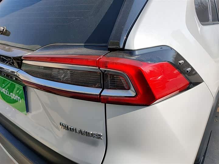 Фото 8 - Toyota Wildlander