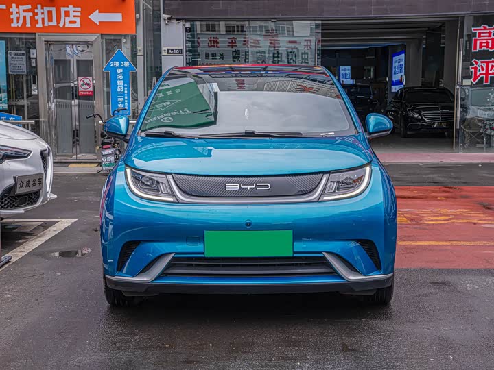 Фото 2 - BYD Dolphin