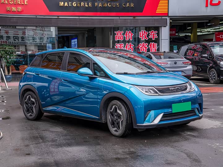 Фото 3 - BYD Dolphin