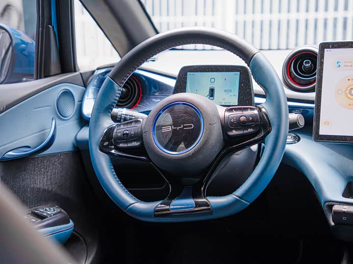 Фото 6 - BYD Dolphin