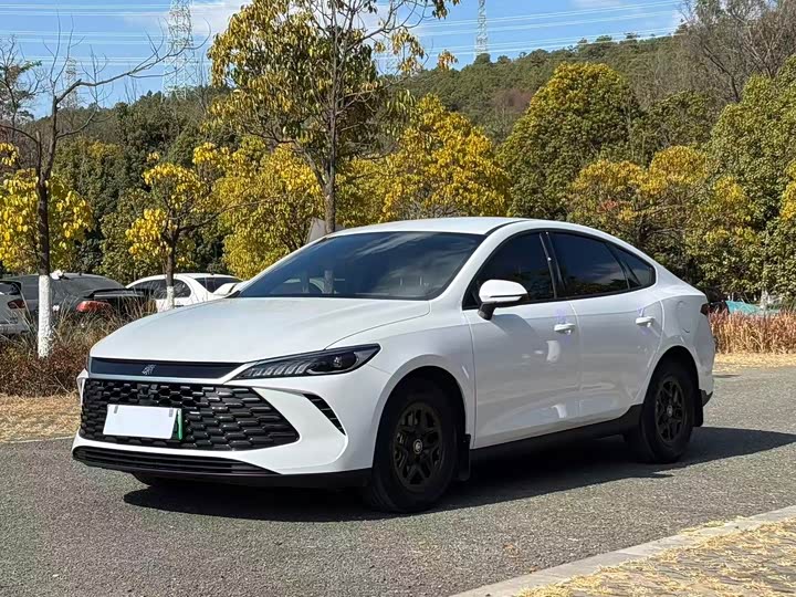 Фото 1 - BYD Qin Plus