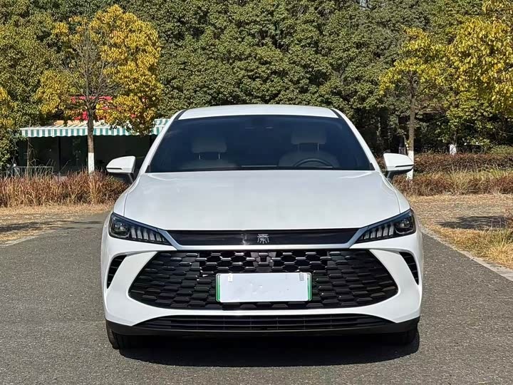 Фото 2 - BYD Qin Plus