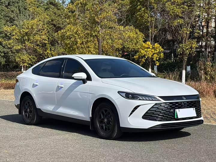 Фото 3 - BYD Qin Plus