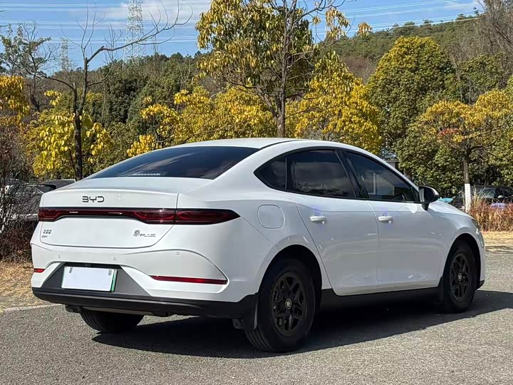 Фото 4 - BYD Qin Plus