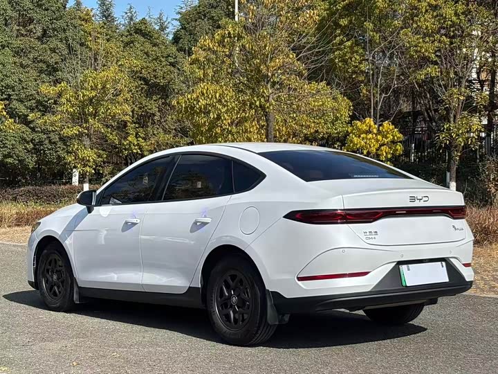 Фото 6 - BYD Qin Plus