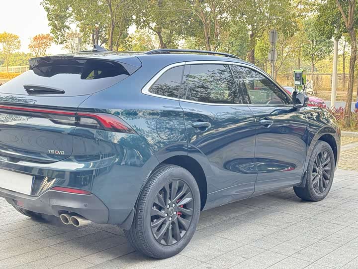 Фото 5 - Dongfeng Forthing T5 EVO