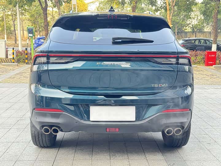 Фото 6 - Dongfeng Forthing T5 EVO