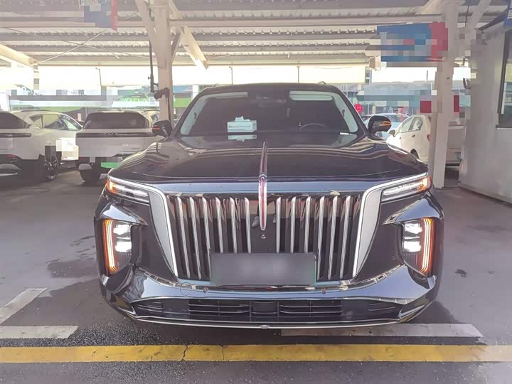 Фото 3 - Hongqi E-HS9